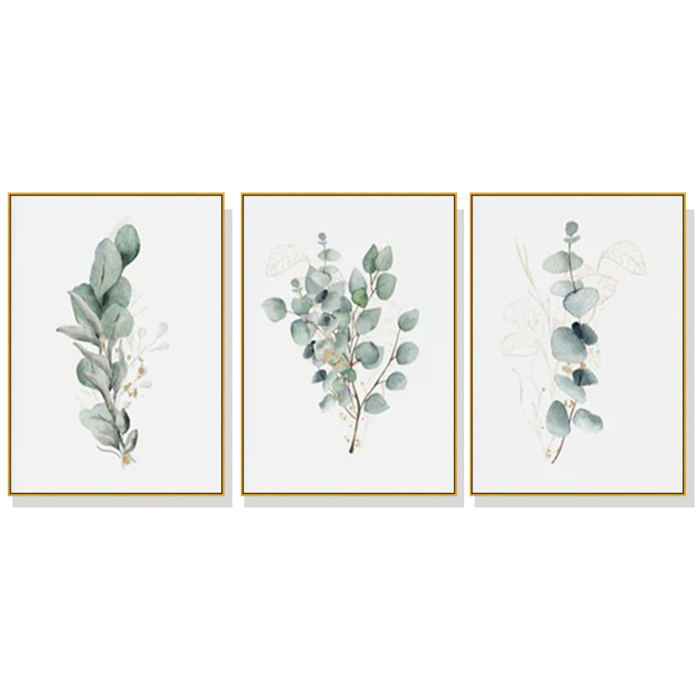 Three sets of 50cmx70cm eucalyptus plant canvas wall art framed in elegant gold frames, showcasing vibrant colors and a floating effect.