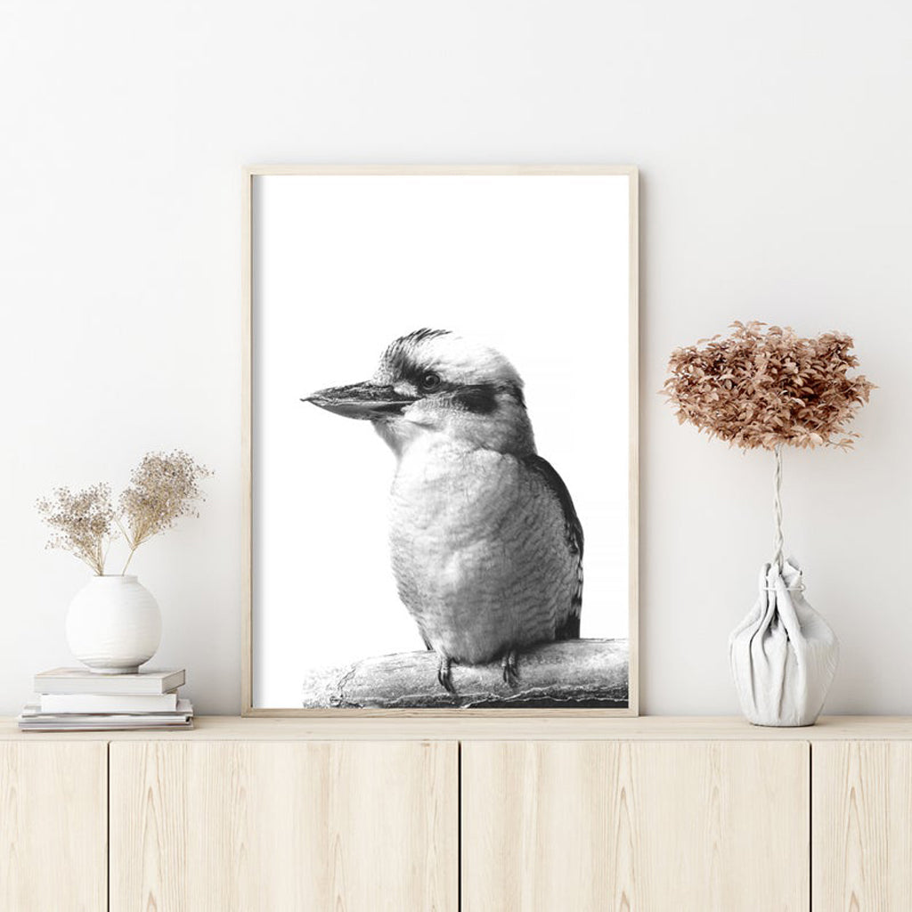 50cmx70cm Kookaburra canvas wall art in a black frame, showcasing vibrant colors and a floating effect.