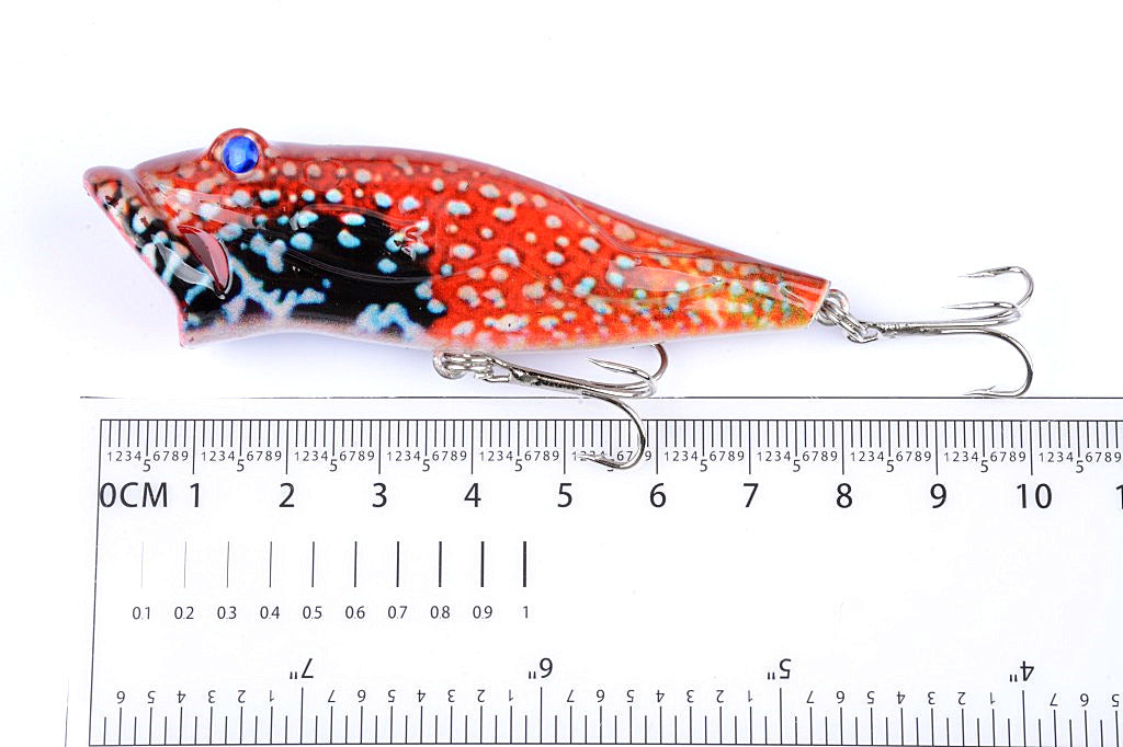 Five colorful 8cm popper fishing lures with sharp hooks, designed for effective surface fishing in both saltwater and freshwater.