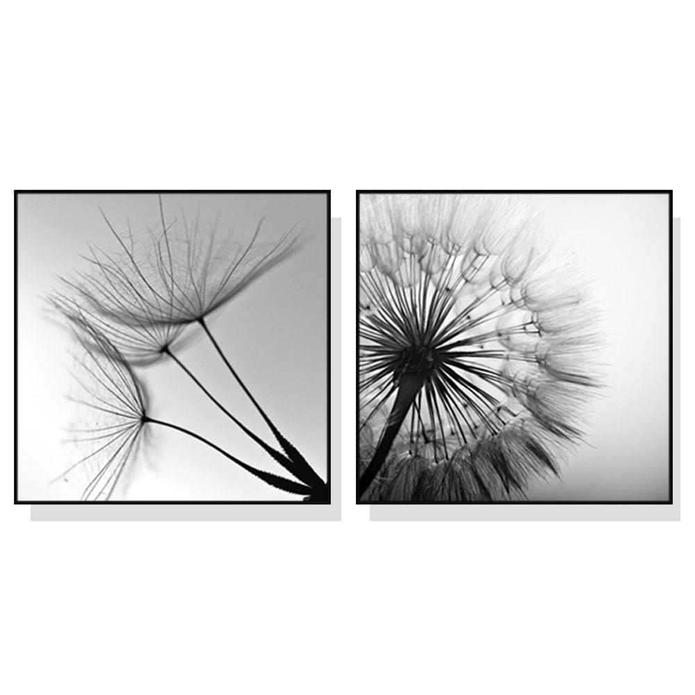 A beautifully framed black and white dandelion canvas wall art set, showcasing intricate details and a modern floating frame design.