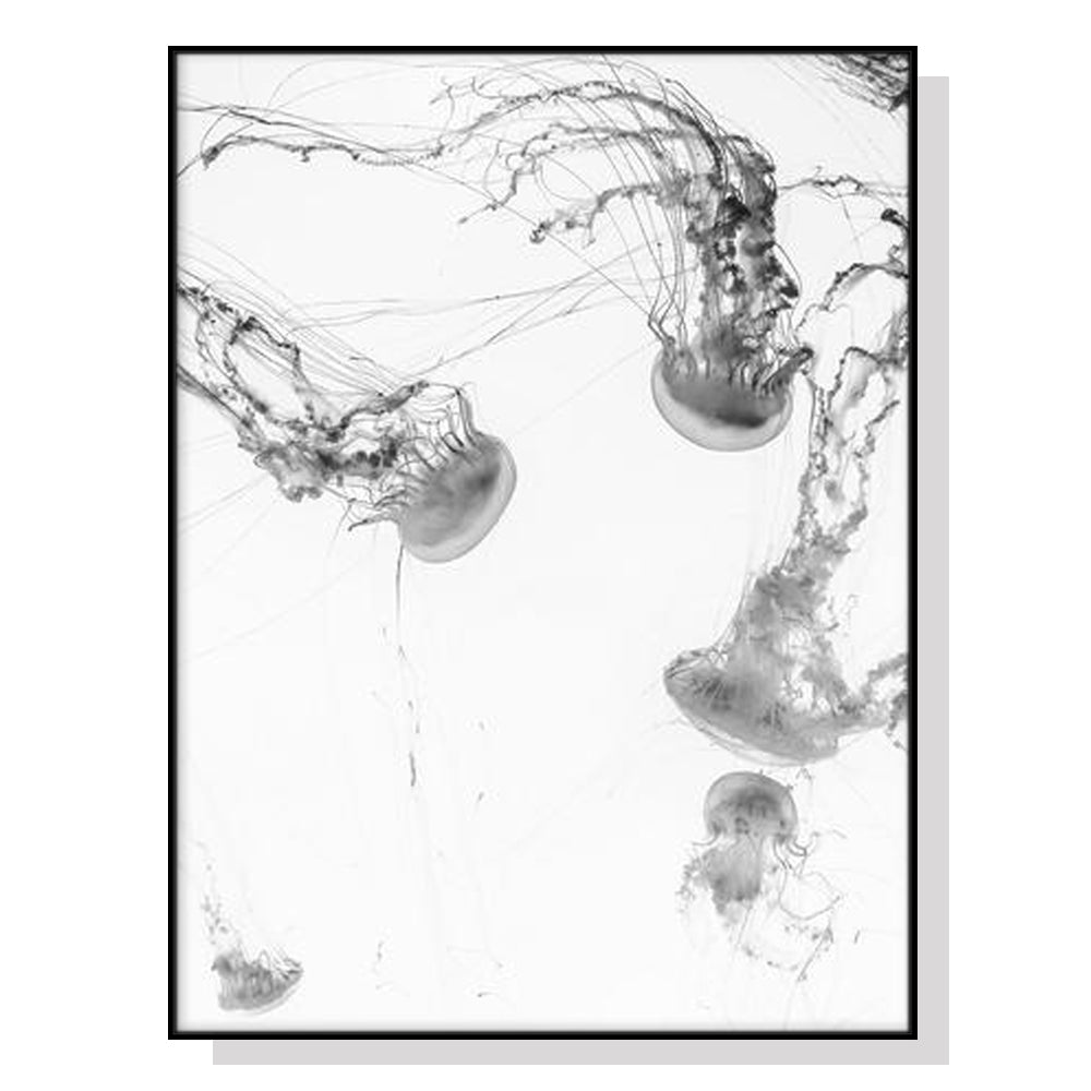 60cmx90cm Jellyfish Black Frame Canvas Wall Art featuring vibrant colors and a floating frame design.