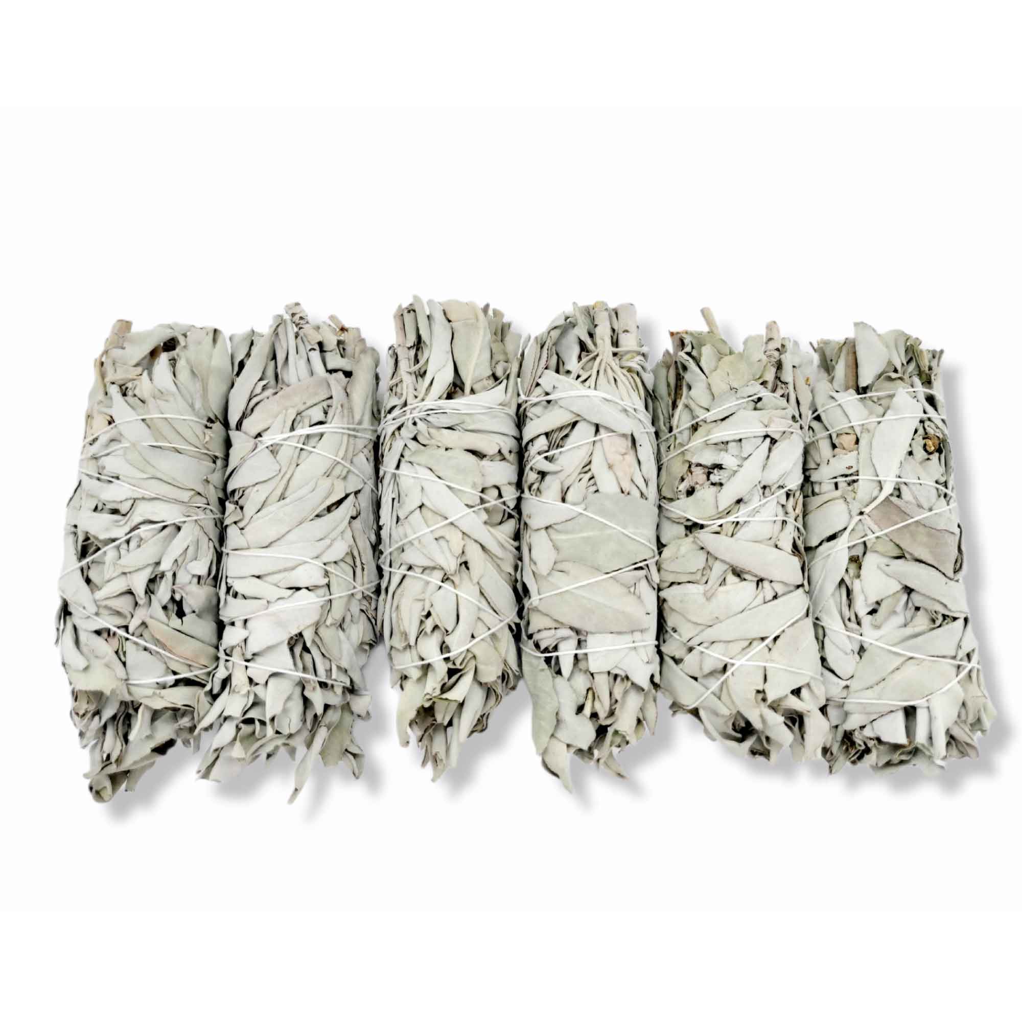 A bundle of 6 medium Californian white sage smudge sticks, hand-rolled and wrapped in cotton string, showcasing their natural green leaves.