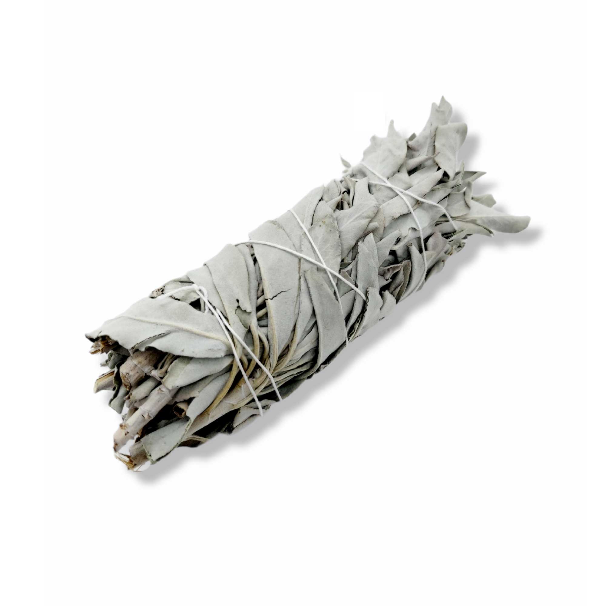 A bundle of 6 medium Californian white sage smudge sticks, hand-rolled and wrapped in cotton string, showcasing their natural green leaves.