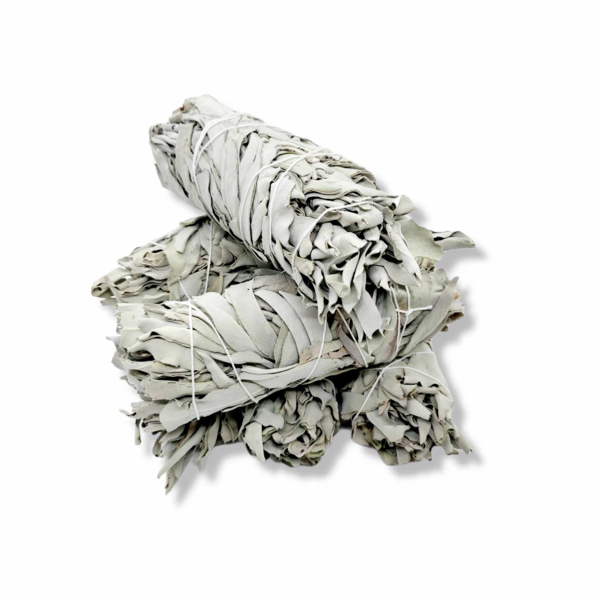A bundle of 6 medium Californian white sage smudge sticks, hand-rolled and wrapped in cotton string, showcasing their natural green leaves.