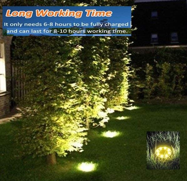 A set of 8 LED solar pathway lights with warm white illumination, installed in a garden pathway, showcasing their elegant design and bright lighting.