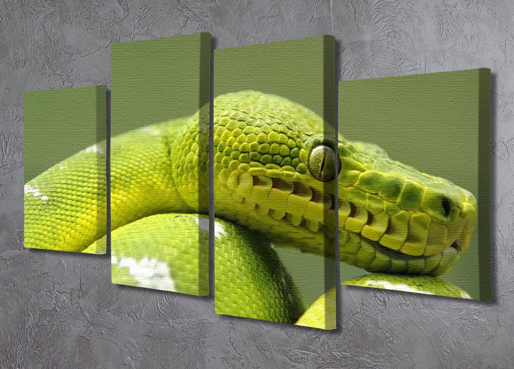 A closeup landscape shot of an Emerald Tree Boa displayed on a 4 split panel canvas, showcasing vibrant green colors and intricate patterns.
