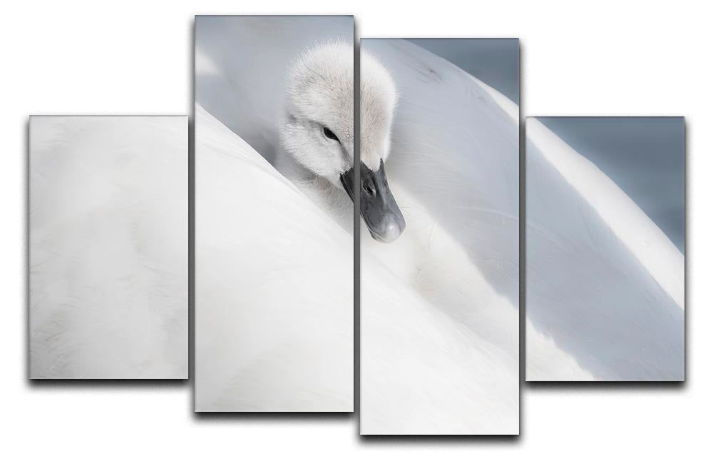 A beautifully arranged 4 Split Panel Canvas artwork showcasing a cohesive image divided into four sections, ideal for modern decor.