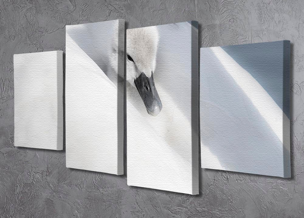 A beautifully arranged 4 Split Panel Canvas artwork showcasing a cohesive image divided into four sections, ideal for modern decor.