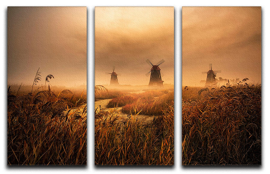 A stunning 3-panel canvas print featuring a captivating morning scene, perfect for home decor.