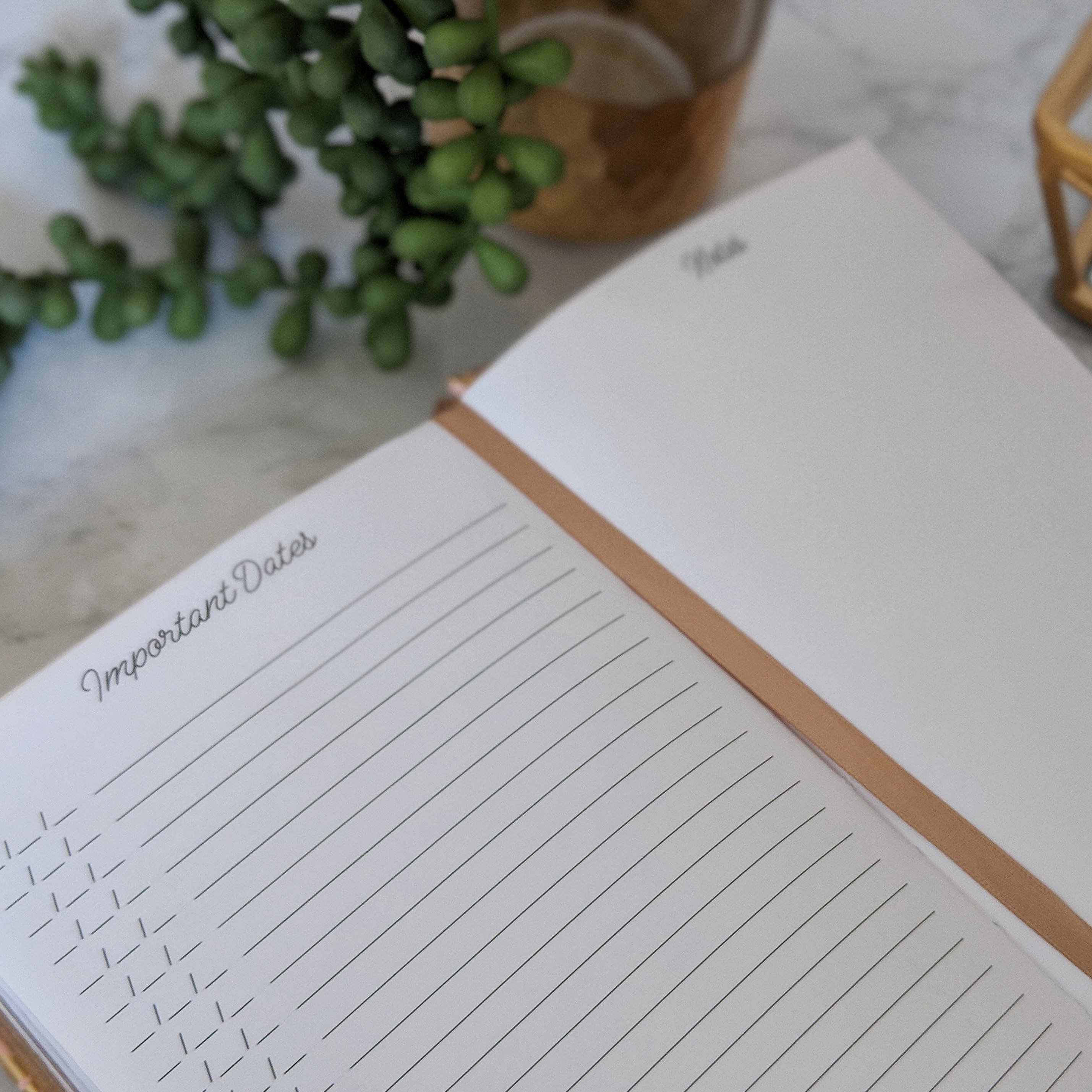 A beautiful navy floral five-year journal with gold accents, featuring a bookmark ribbon and gold foil edges, perfect for daily reflections.