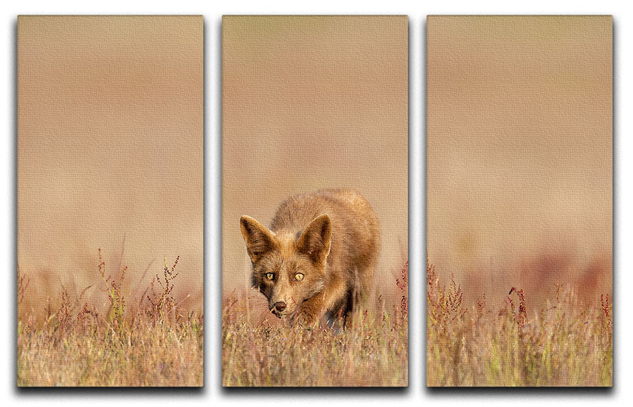 A stunning 3-panel canvas print featuring a fox on the hunt, showcasing vibrant colors and intricate details, perfect for home decor.