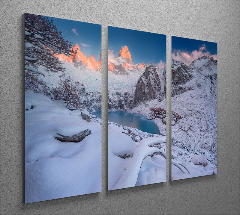 A stunning 3-panel canvas print featuring a captivating design, perfect for home or office decor.