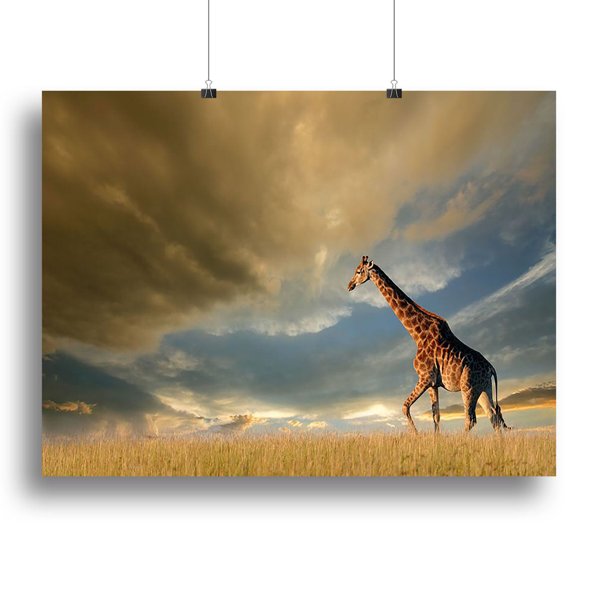 A beautiful canvas print of a giraffe walking on the African plains under a dramatic sky, showcasing vibrant colors and stunning detail.