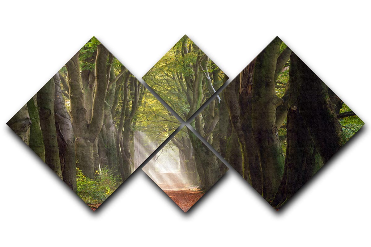 A Glorious Day 4 Square Multi Panel Canvas artwork featuring vibrant colors and intricate designs, displayed in a modern setting.