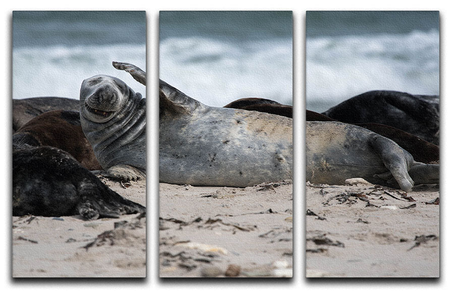 A stunning 3-panel canvas print featuring modern art, enhancing interior decor with elegance.