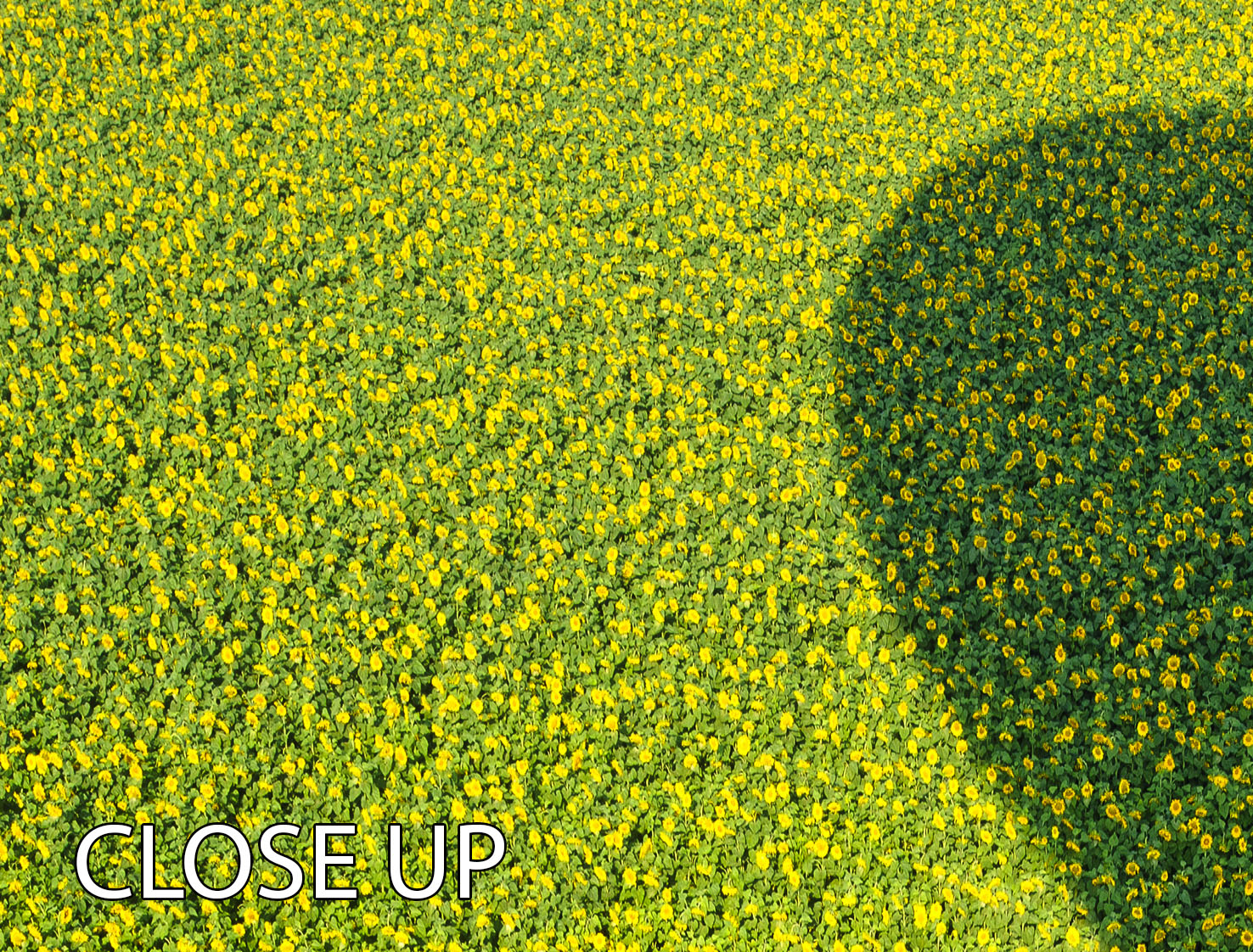 A Hundred Million Suns 3 Split Panel Canvas Print showcasing vibrant colors and abstract design, perfect for home decor.