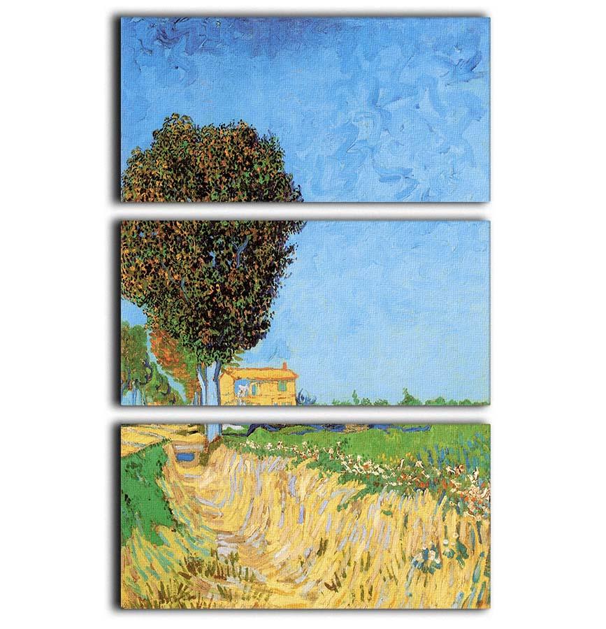 A stunning 3-panel canvas print of Van Gogh's A Lane near Arles, showcasing vibrant colors and intricate details.