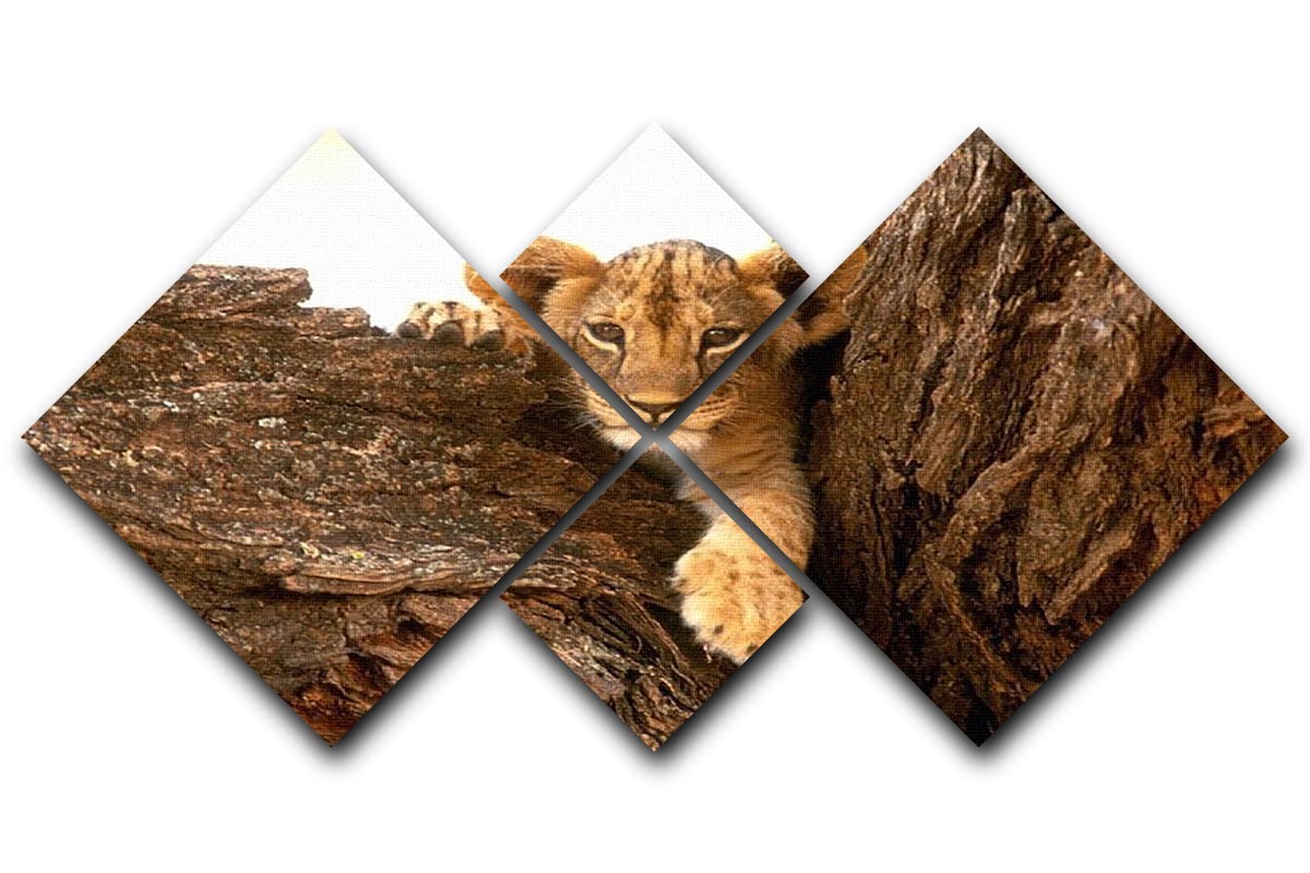 A charming multi-panel canvas featuring a playful little tiger cub looking out among rocks, beautifully designed for home decor.