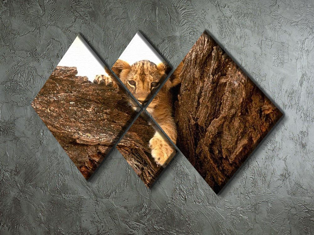 A charming multi-panel canvas featuring a playful little tiger cub looking out among rocks, beautifully designed for home decor.