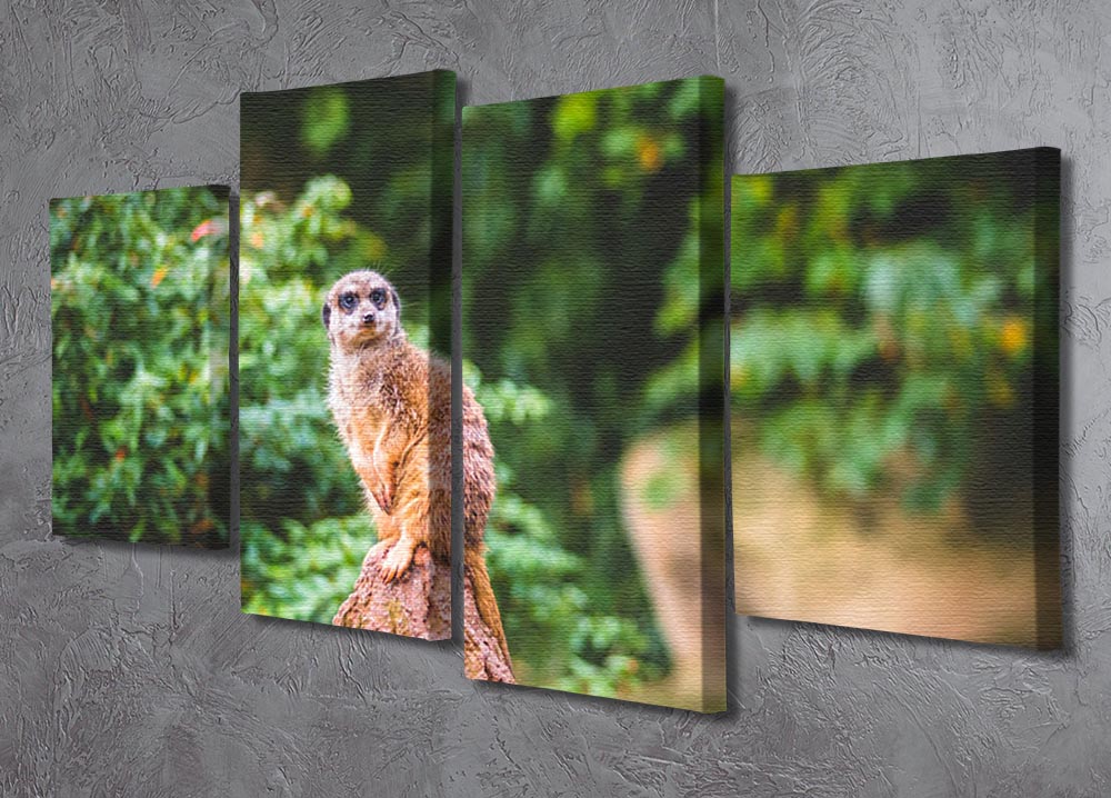 A vibrant 4-split canvas artwork featuring meerkats, showcasing a cohesive image across four panels.