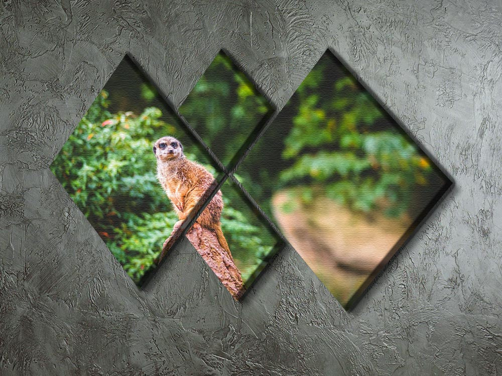 A vibrant 4-square canvas artwork featuring playful meerkats, showcasing their charm and liveliness in a unique multi-panel design.