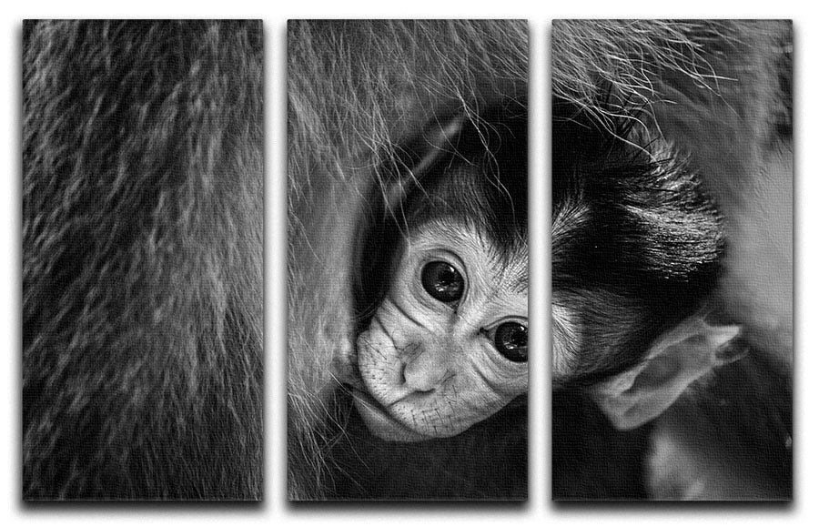 A beautiful 3-panel canvas print titled 'A Mothers Love', showcasing vibrant colors and intricate details, perfect for home decor.