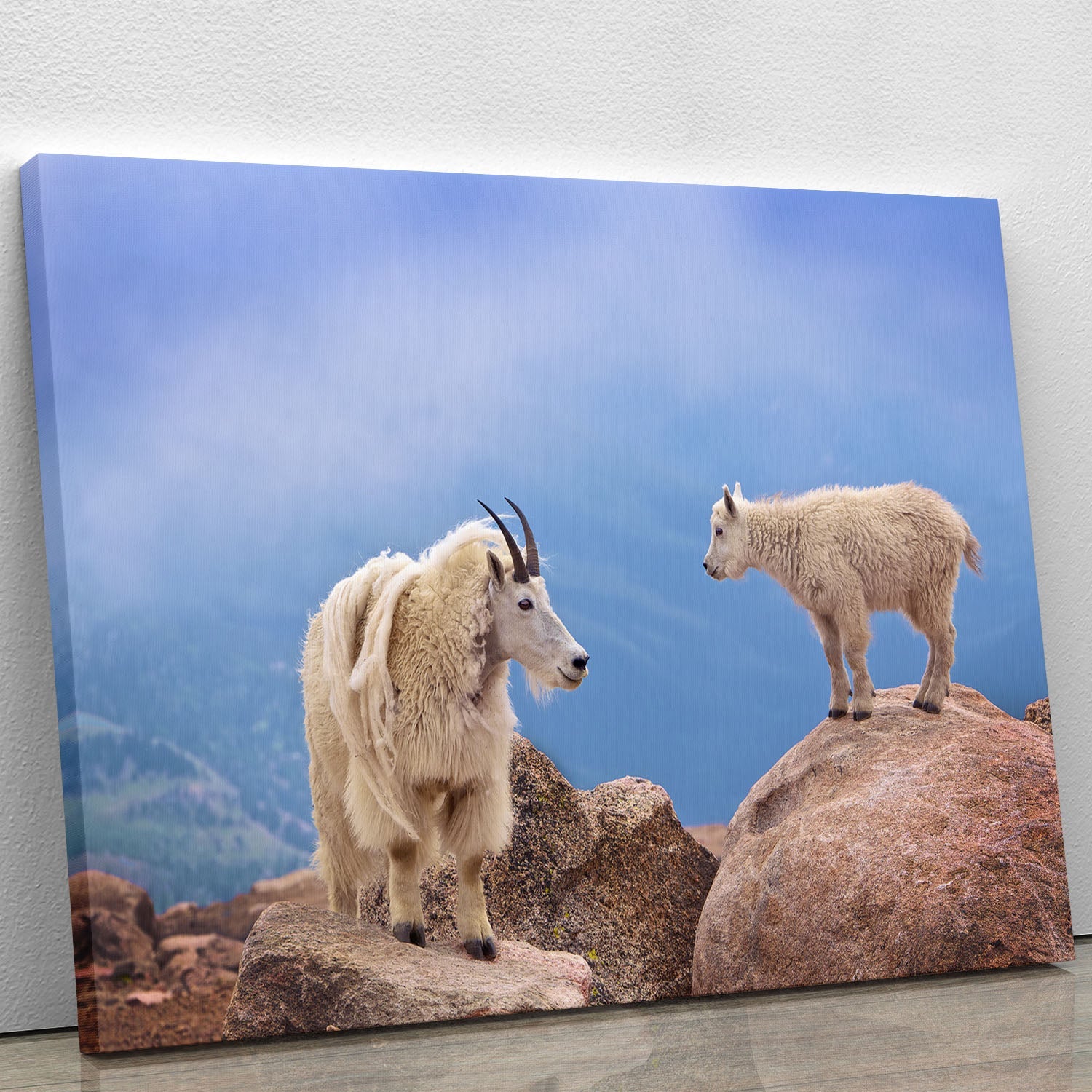 A beautiful canvas print featuring a mother's warm smile, perfect for home decor.