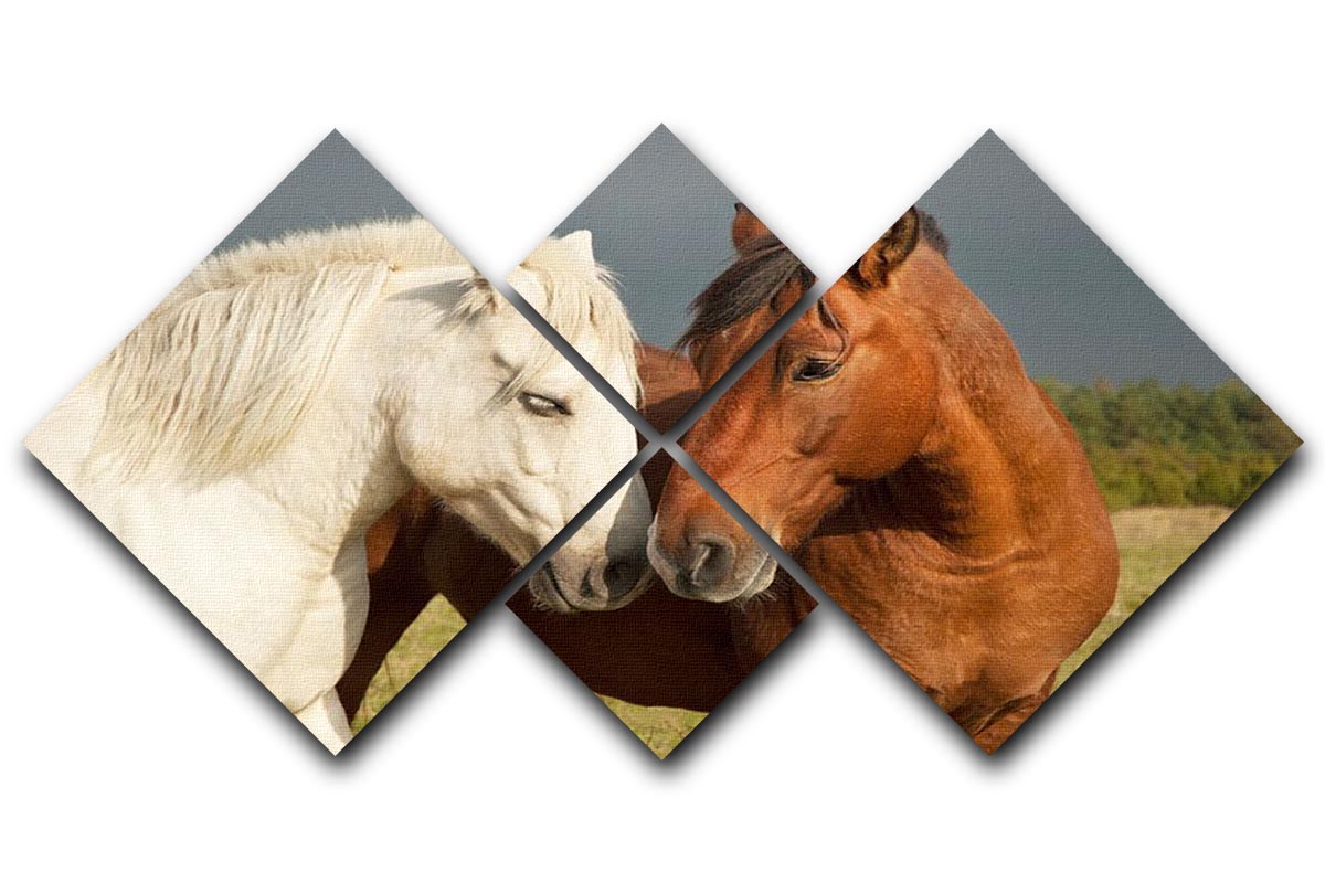 A beautiful 4 square multi-panel canvas depicting two horses showing affection, enhancing home decor.
