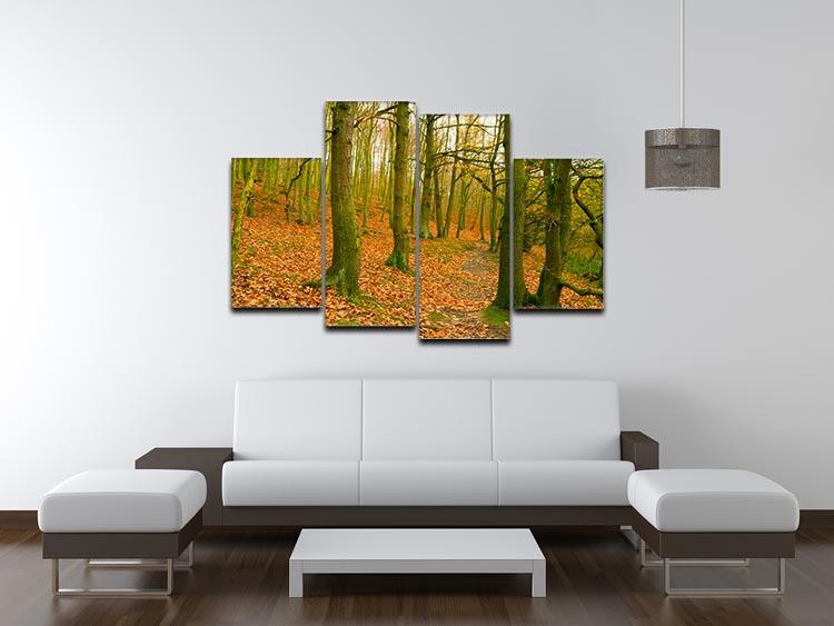 A beautiful 4-split canvas artwork depicting a serene path through the woods at Haw Park, showcasing vibrant colors and intricate details.