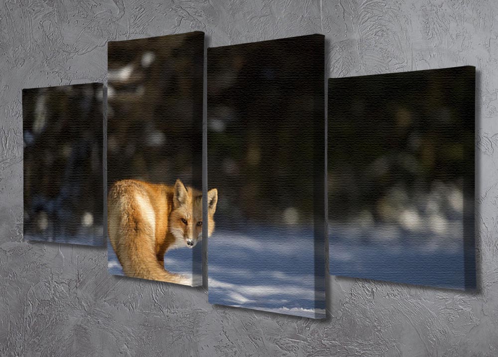 A beautiful 4-panel canvas artwork featuring a red fox looking back at the camera, showcasing vibrant colors and intricate details.