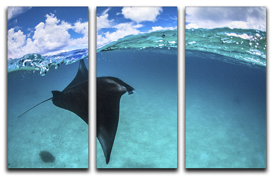 A beautiful 3-panel canvas print featuring a Reef Manta Ray in vibrant colors, perfect for home decor.