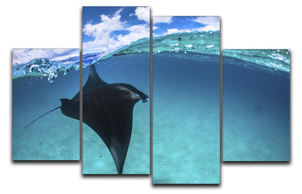 A stunning 4-split canvas artwork featuring a reef manta ray, showcasing vibrant colors and intricate details across four panels.