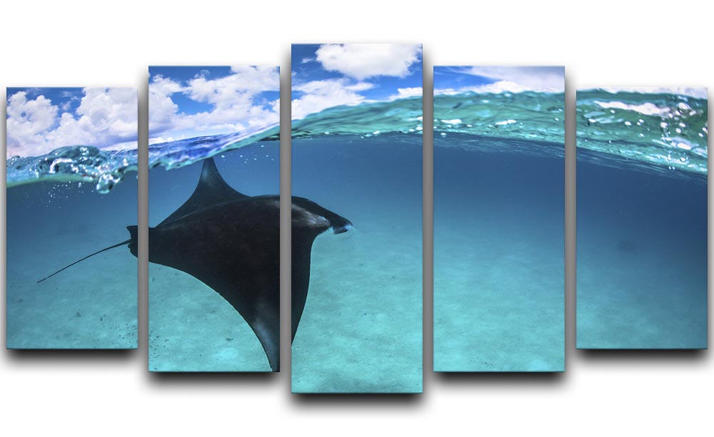 A beautiful 5-split panel canvas artwork featuring a Reef Manta Ray in vibrant colors, showcasing its graceful form in an ocean setting.