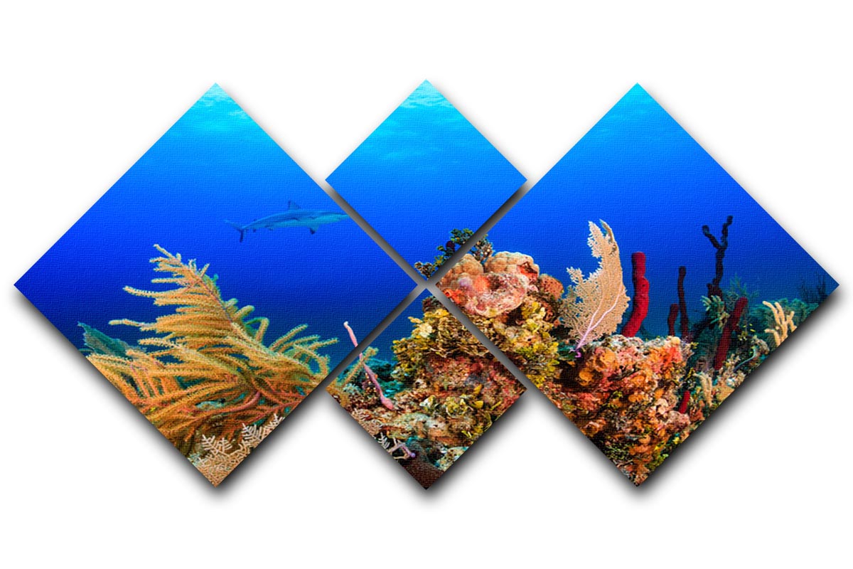 A vibrant 4-square canvas artwork depicting a reef shark swimming through a colorful tropical coral reef.