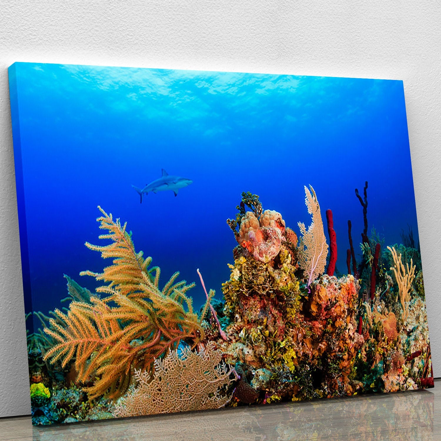 A vibrant canvas print of a reef shark swimming gracefully over a colorful tropical coral reef, showcasing marine life.
