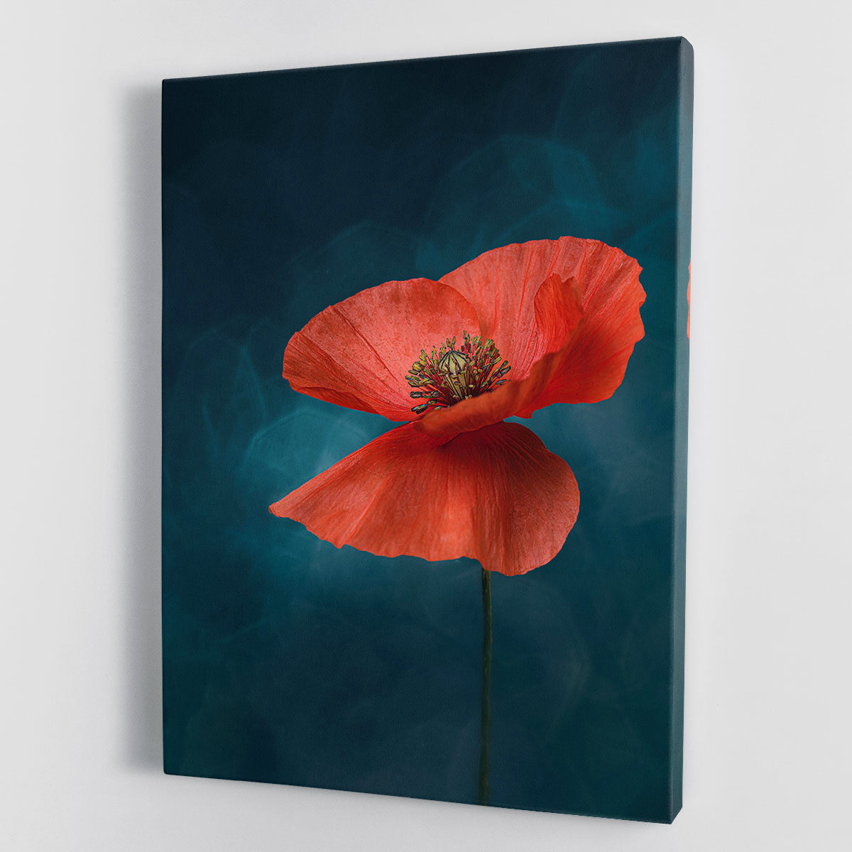 A vibrant single red flower canvas print showcasing a stunning floral design, perfect for home decor.