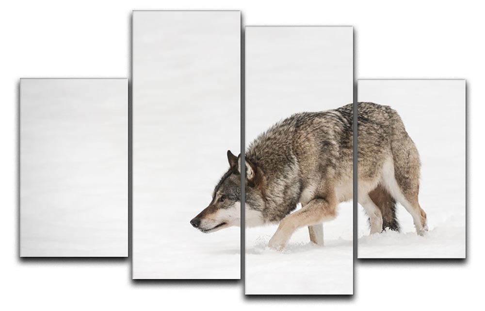 A stunning 4-split canvas artwork featuring a lone wolf in a snowy landscape, showcasing the beauty of nature.