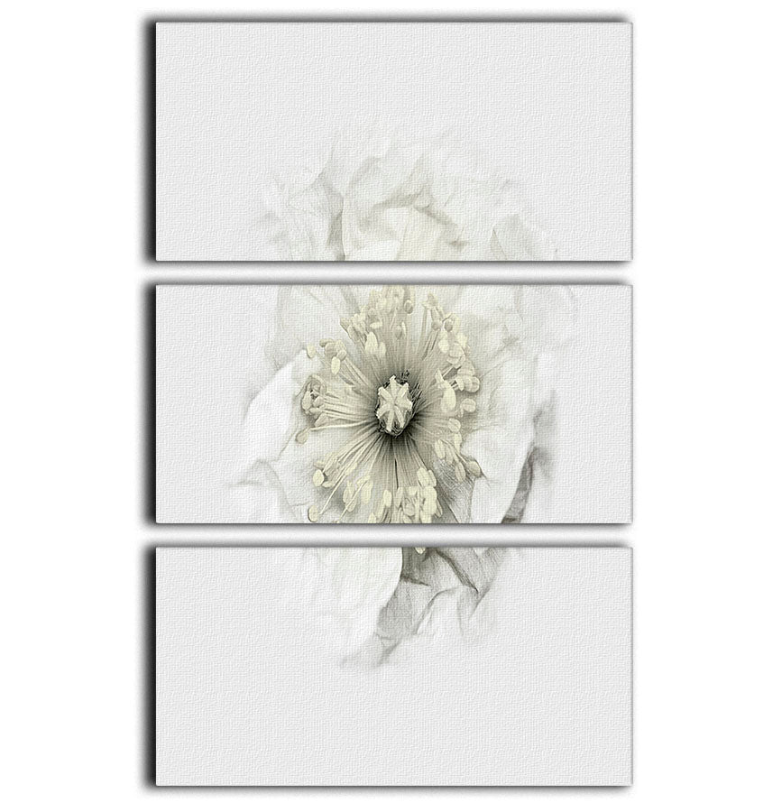 A beautiful 3-panel canvas print featuring white poppies, elegantly displayed to enhance any room's decor.