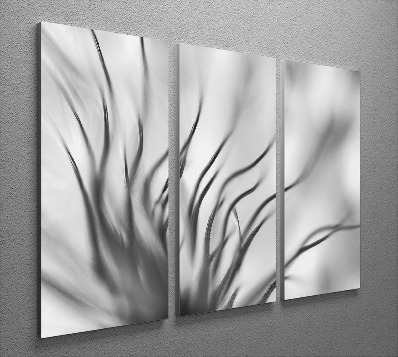 Abstract Botanical 3 Split Panel Canvas Print featuring vibrant botanical designs on three separate canvases, ideal for modern decor.