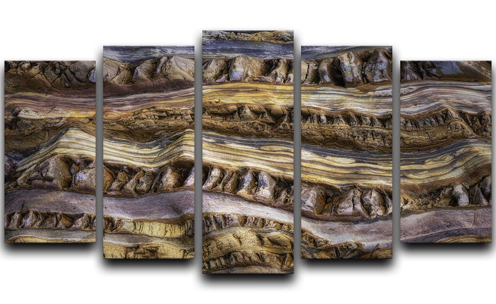 Abstractions In Nature 5 Split Panel Canvas artwork featuring five panels with a cohesive nature-inspired design.