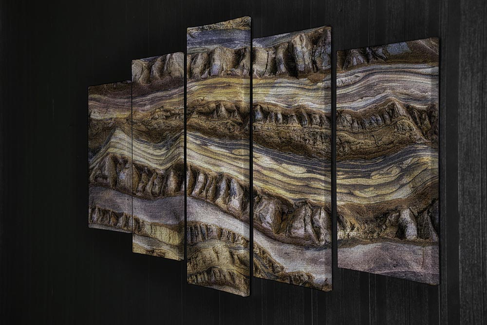Abstractions In Nature 5 Split Panel Canvas artwork featuring five panels with a cohesive nature-inspired design.