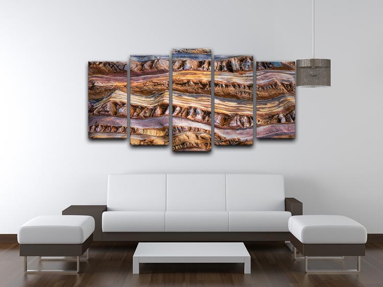 Abstractions In Nature 5 Split Panel Canvas artwork featuring five panels with a cohesive nature-inspired design.