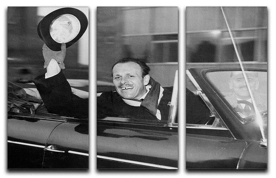 Terry Thomas 3 Split Panel Canvas Print showcasing vibrant colors and elegant design, perfect for home decor.