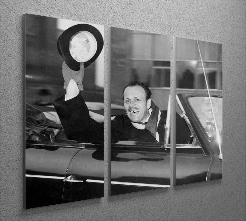 Terry Thomas 3 Split Panel Canvas Print showcasing vibrant colors and elegant design, perfect for home decor.