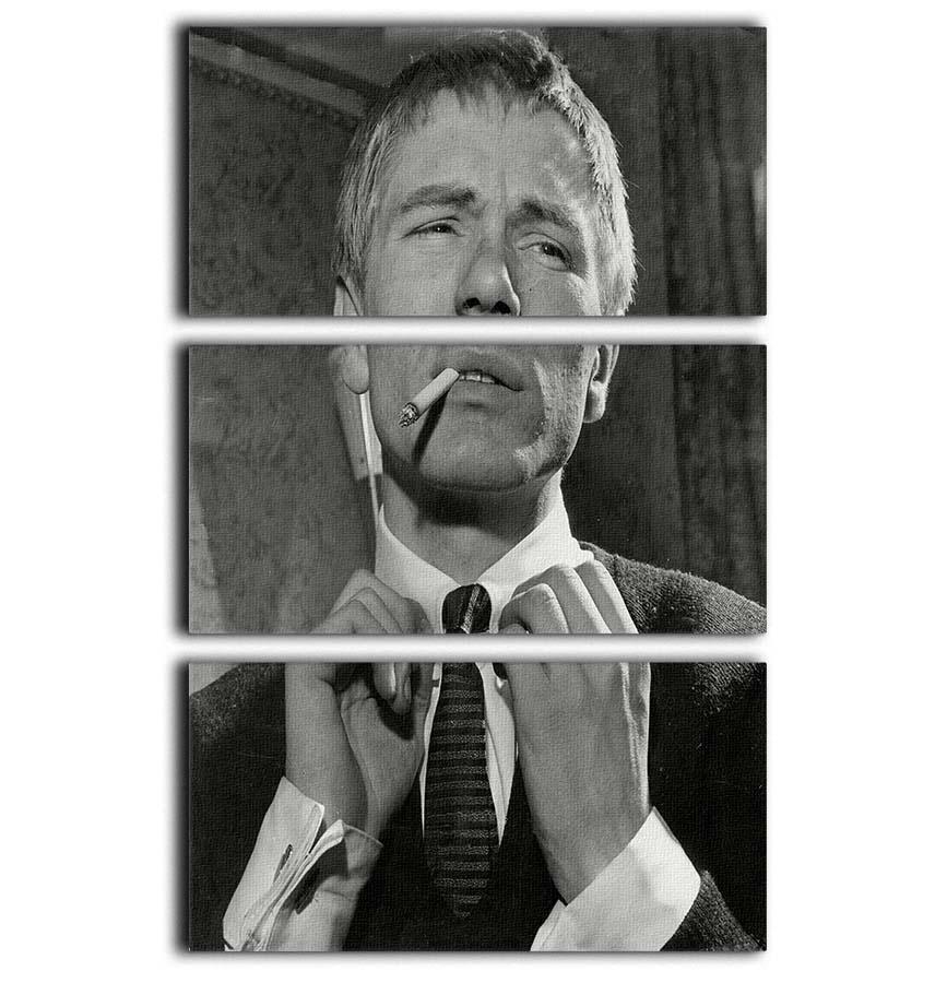 Adam Faith 3 Split Panel Canvas Print showcasing vibrant artwork across three panels, perfect for home decor.