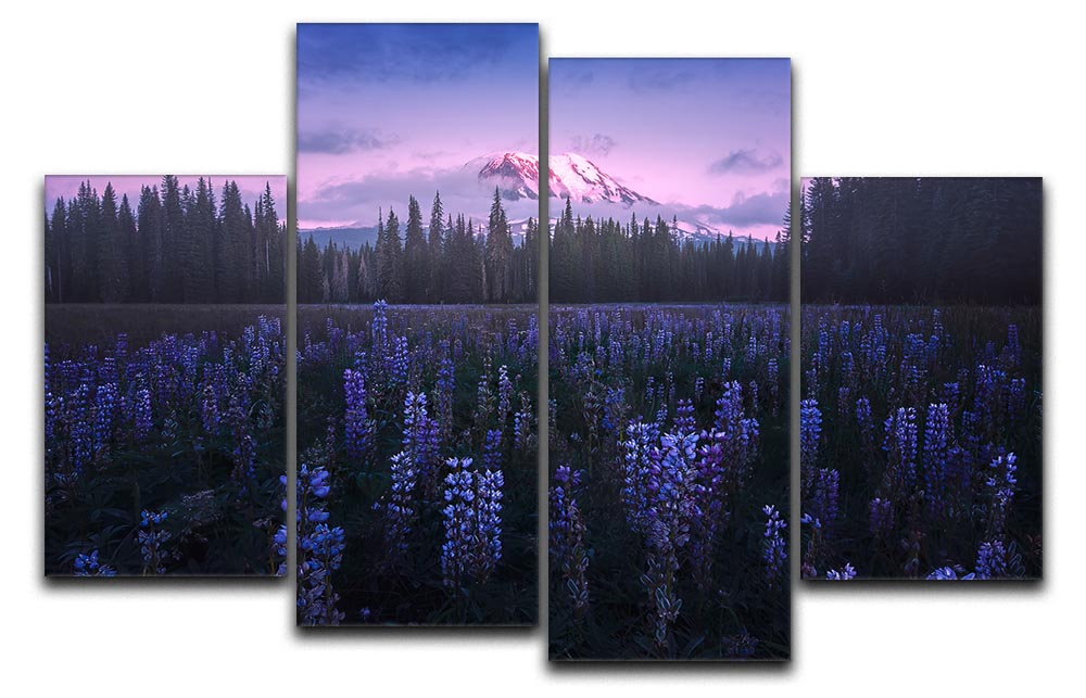 Adam's Lupine 4 Split Panel Canvas featuring vibrant lupine flowers divided into four equal sections, creating a dynamic visual effect.