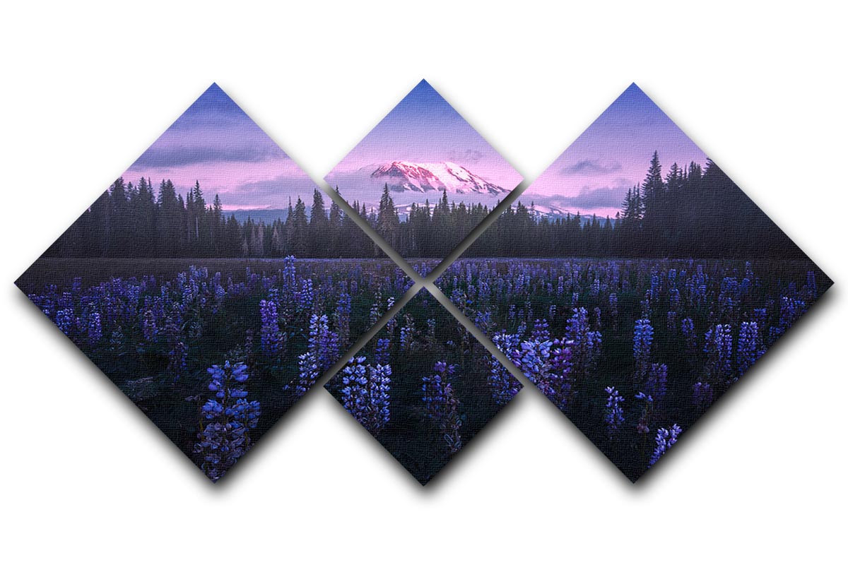 Adam's Lupine 4 Square Multi Panel Canvas featuring vibrant colors and intricate designs, arranged in four equal square sections.