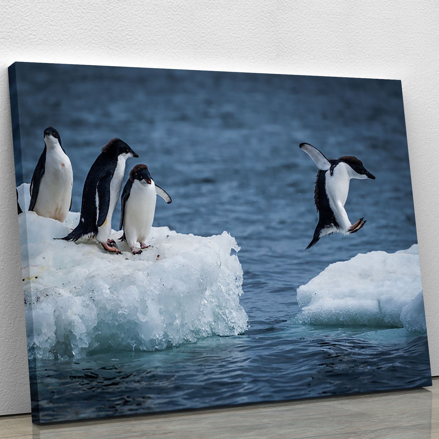 Adelie penguin jumping between two ice floes, showcasing vibrant colors and dynamic movement.