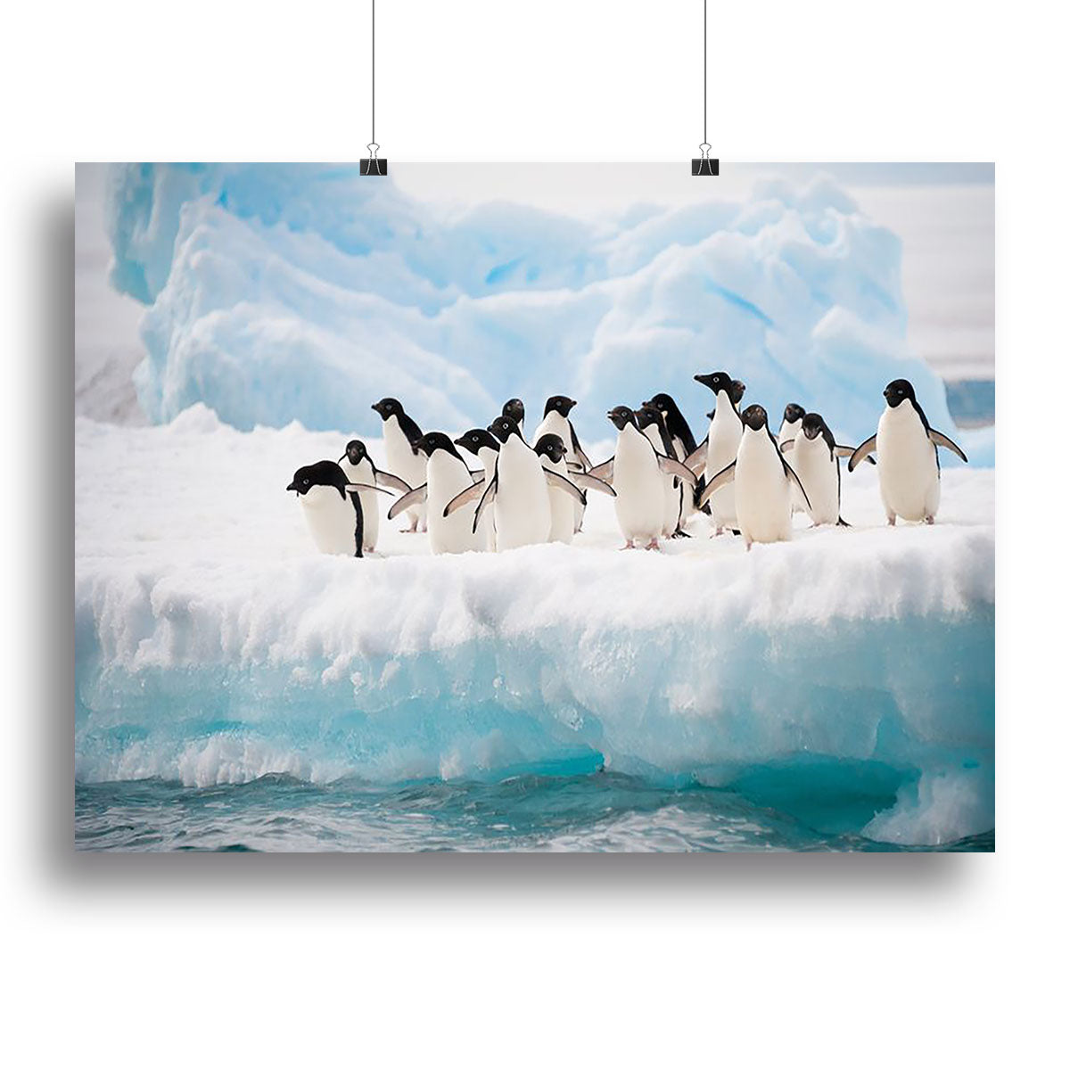 A beautiful canvas print or poster featuring a colony of Adelie penguins on an iceberg, showcasing their natural habitat.