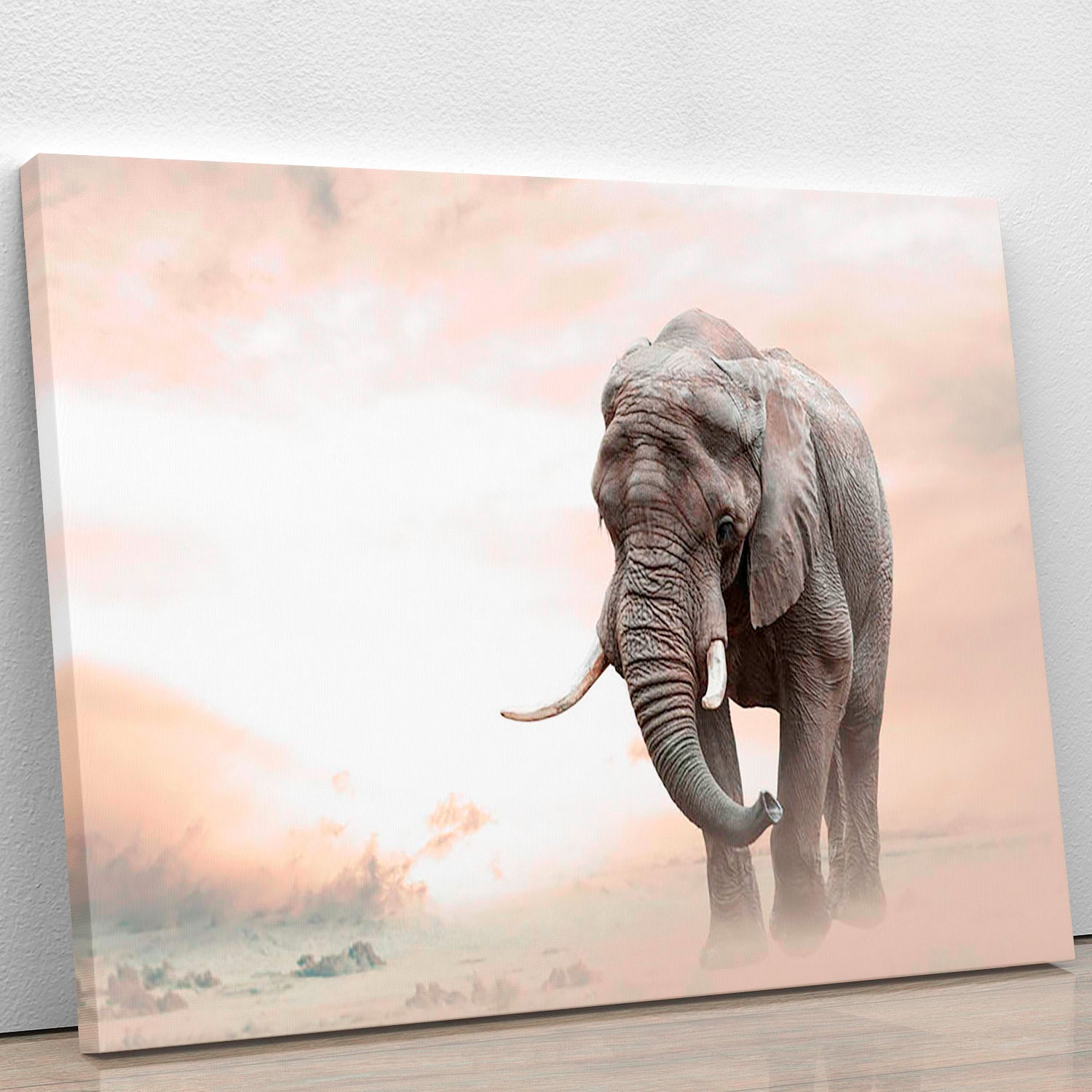 A majestic male African elephant walking alone in a desert landscape during a vibrant sunset, showcasing its grandeur and beauty.